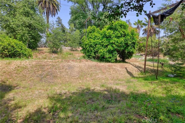 120 Franklin Ave, Redlands, CA 92373 - view of yard