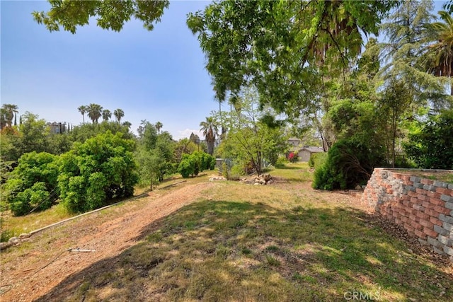 120 Franklin Ave, Redlands, CA 92373 - view of yard