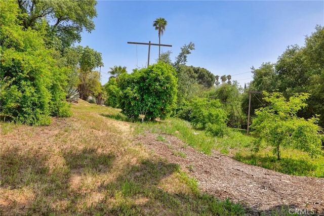 120 Franklin Ave, Redlands, CA 92373 - view of nature