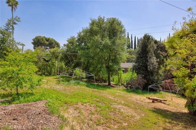 120 Franklin Ave, Redlands, CA 92373 - view of yard