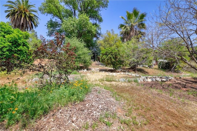120 Franklin Ave, Redlands, CA 92373 - view of yard