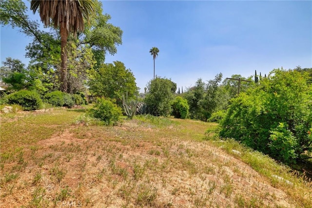 120 Franklin Ave, Redlands, CA 92373 - view of local wilderness