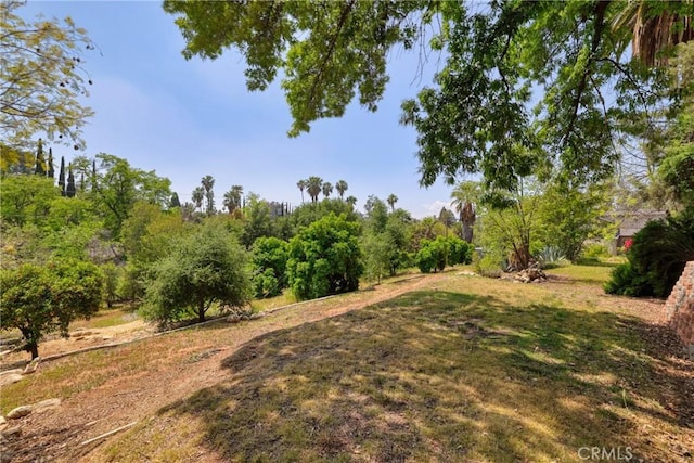 120 Franklin Ave, Redlands, CA 92373 - view of yard