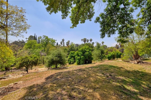 120 Franklin Ave, Redlands, CA 92373 - view of yard