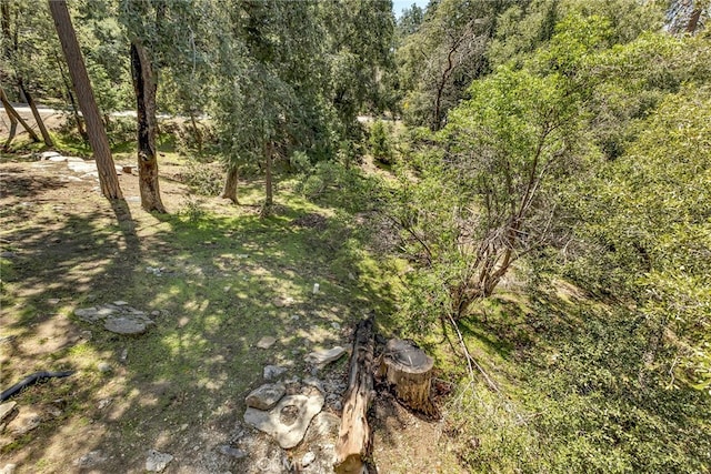 view of nature with a forest view