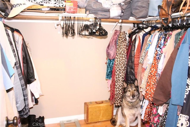 view of spacious closet