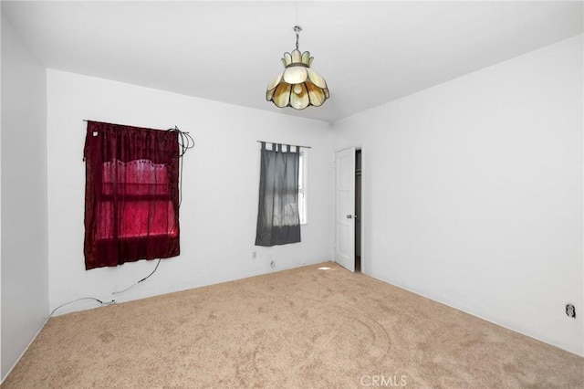 spare room featuring carpet