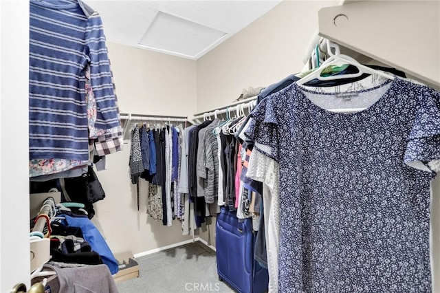 spacious closet with carpet and attic access