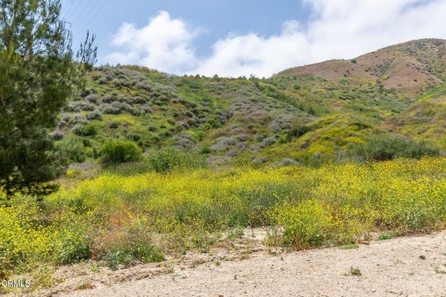 3621 Center St, Piru, CA 93040 - property view of mountains