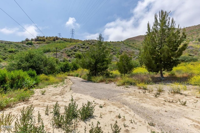 3621 Center St, Piru, CA 93040 - view of local wilderness with a mountain view