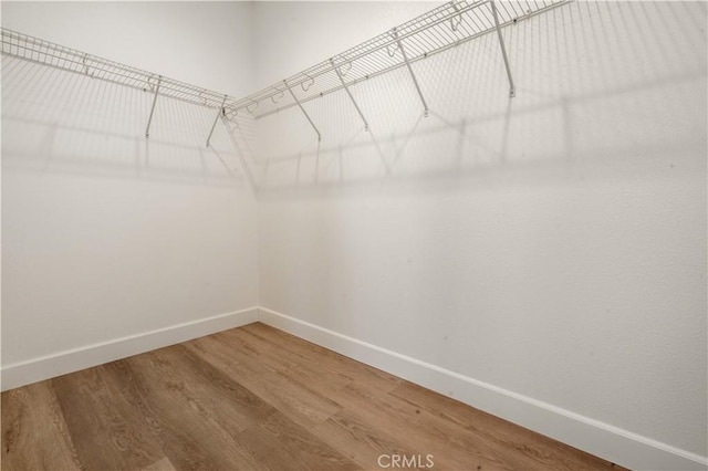 walk in closet featuring wood finished floors