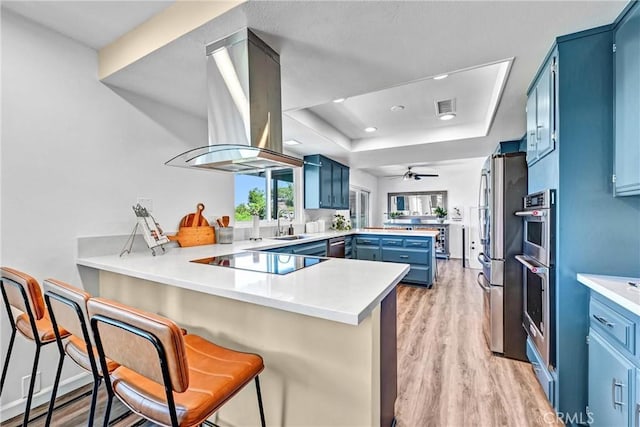kitchen featuring a tray ceiling, blue cabinets, range hood, a peninsula, and stainless steel appliances