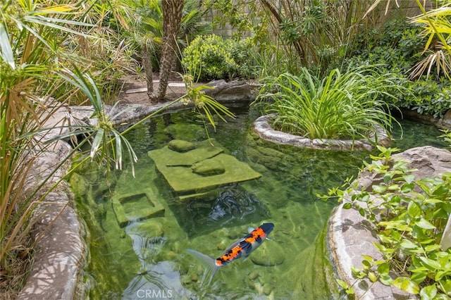 view of local wilderness with a small pond
