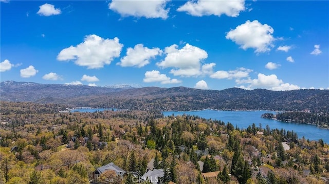 27720 St Bernard Ln, Lake Arrowhead, CA 92352 - mountain view featuring a water view and a view of trees