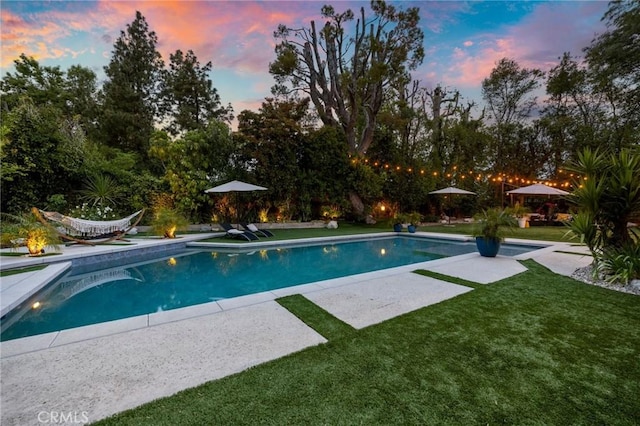 pool at dusk featuring a patio, an outdoor pool, and a yard