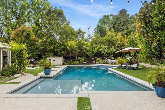 pool with a patio and a yard
