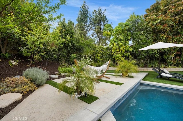 pool featuring a patio area