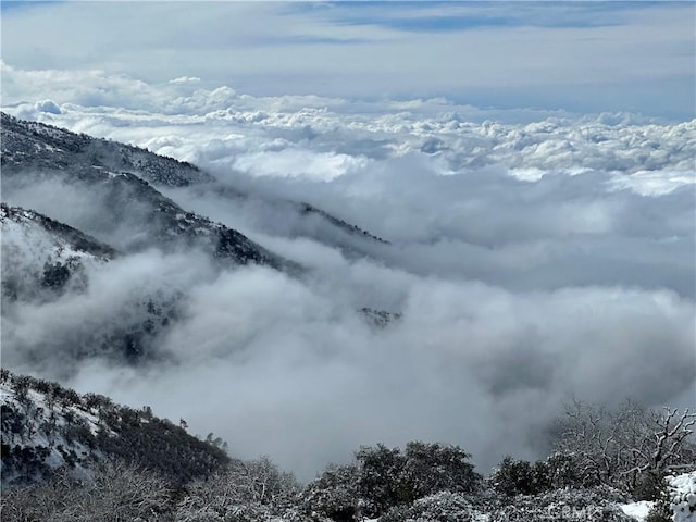 30140 Tuttle Ct, Tehachapi, CA 93561 - view of mountain feature