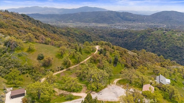 30140 Tuttle Ct, Tehachapi, CA 93561 - drone / aerial view with a mountain view and a forest view