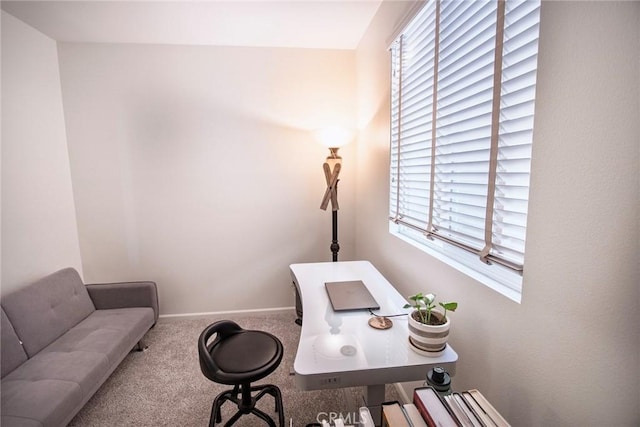 office featuring baseboards and carpet flooring