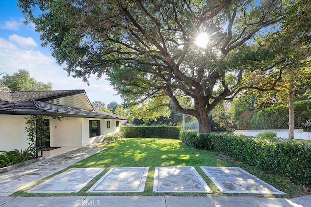view of yard featuring a patio area
