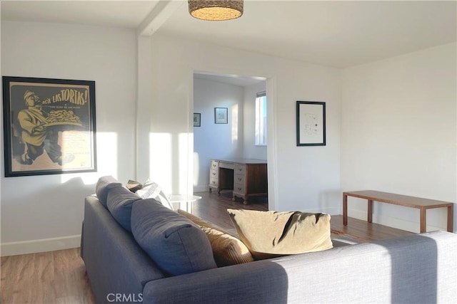 living room featuring baseboards and wood finished floors