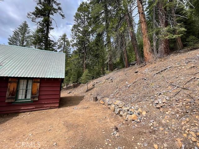 38784 Aspen Ln, Mineral, CA 96063 - view of yard
