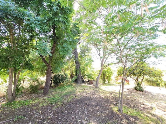 904 Toomes Ave, Corning, CA 96021 - view of yard