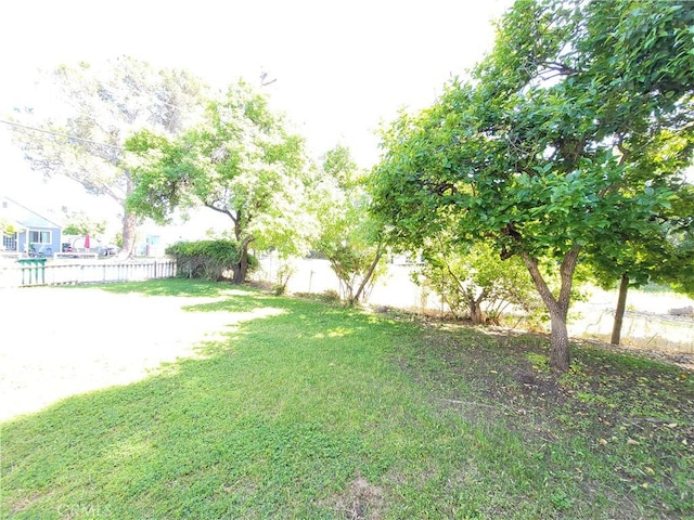 904 Toomes Ave, Corning, CA 96021 - view of yard