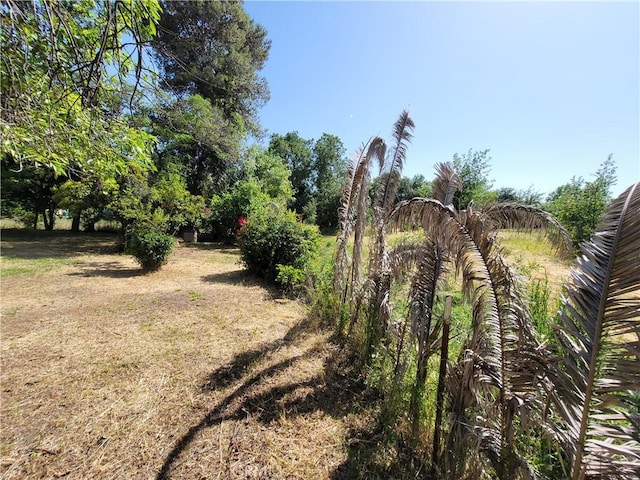 904 Toomes Ave, Corning, CA 96021 - view of yard