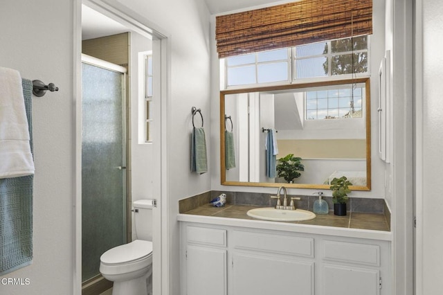 full bath with vanity, toilet, and a shower stall