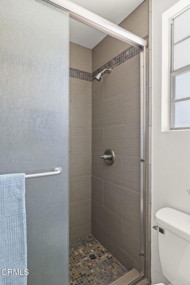 bathroom with toilet and a shower stall