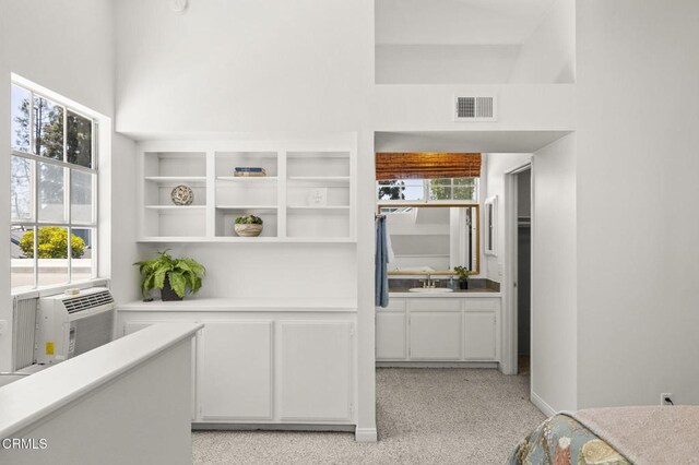 storage area featuring a sink, cooling unit, and visible vents