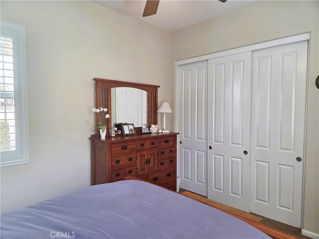 bedroom featuring ceiling fan, wood finished floors, and a closet