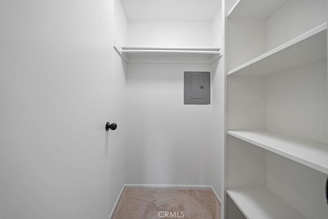 spacious closet with carpet and electric panel