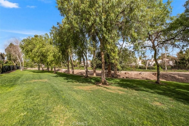 8 Recodo, Irvine, CA 92620 - view of grassy yard