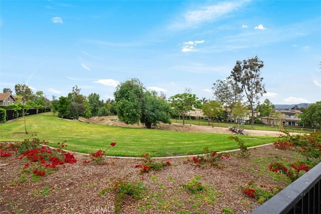 view of grassy yard