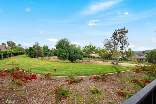 8 Recodo, Irvine, CA 92620 - view of green lawn