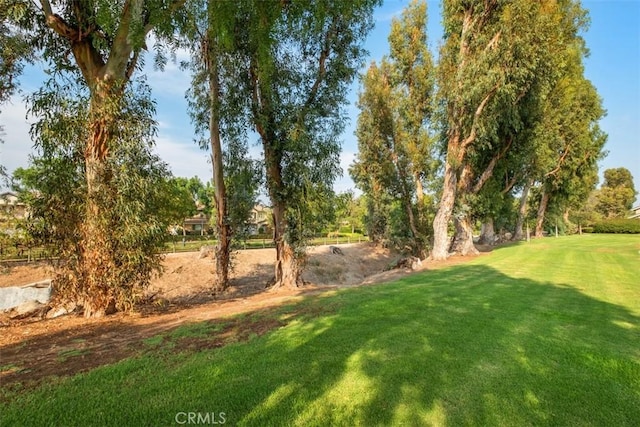 8 Recodo, Irvine, CA 92620 - view of green lawn
