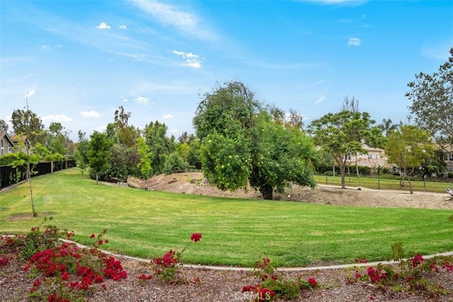 8 Recodo, Irvine, CA 92620 - view of yard