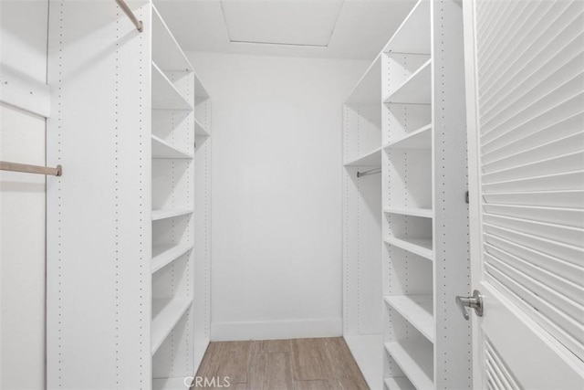 walk in closet with wood finished floors