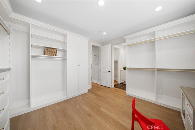 spacious closet featuring light wood-style floors