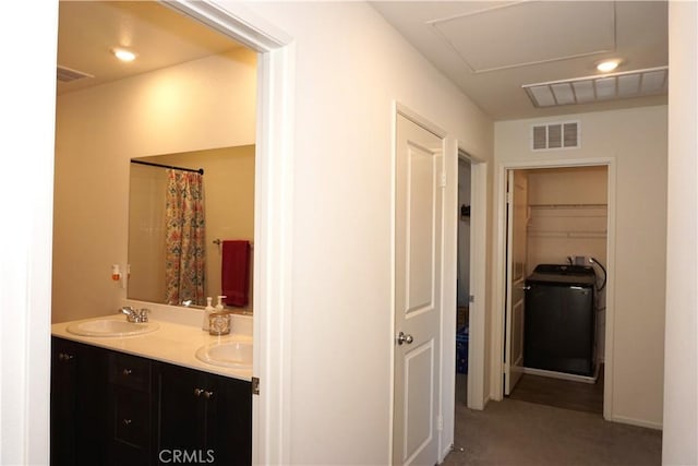 1322 Division Ct, Hemet, CA 92543 - bathroom with double vanity and a shower with curtain