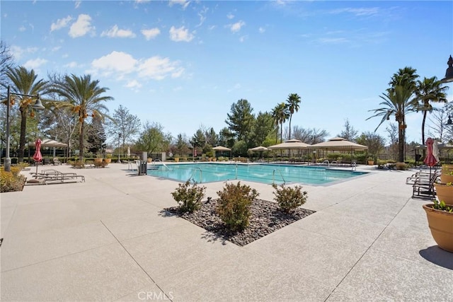 pool with a patio area