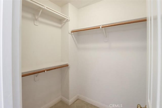 view of spacious closet