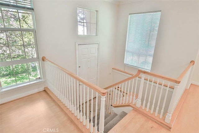 stairway featuring plenty of natural light