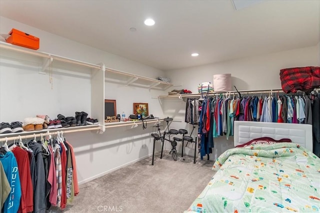 spacious closet with carpet floors