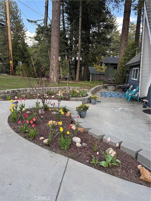 31347 Oakleaf Dr, Running Springs, CA 92382 - view of yard featuring a patio