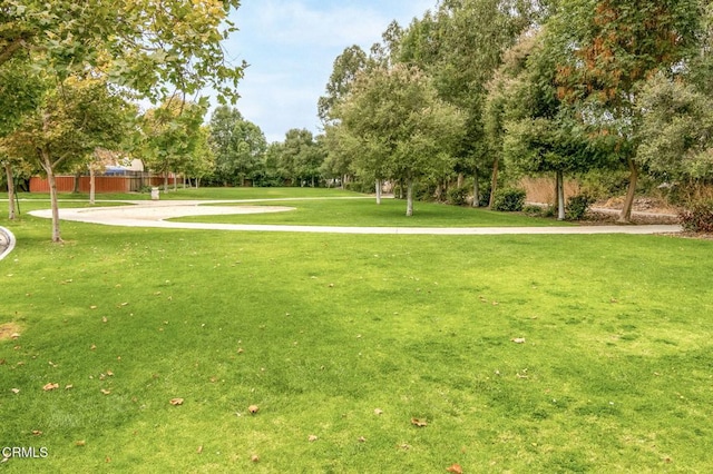 view of home's community with a yard