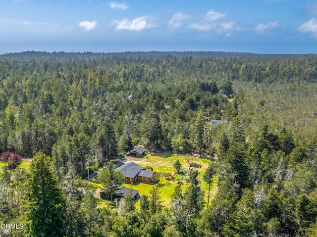 41912 Powers Rd, Mendocino, CA 95460 - photo 48